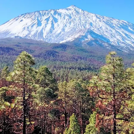 La Pena A